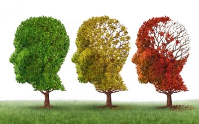 PREVENIRE L’ALZHEIMER A TAVOLA