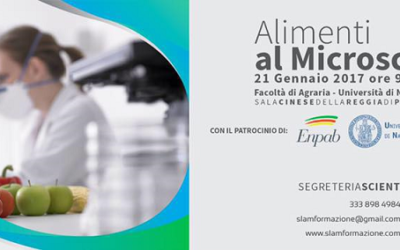 ALIMENTI AL MICROSCOPIO