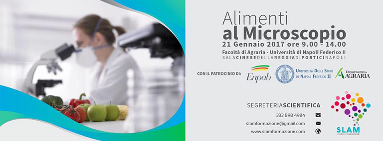 ALIMENTI AL MICROSCOPIO